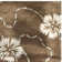 Coreatha Martha Stewart Viscos/Wool Floral Rug in Mocha/Ivory