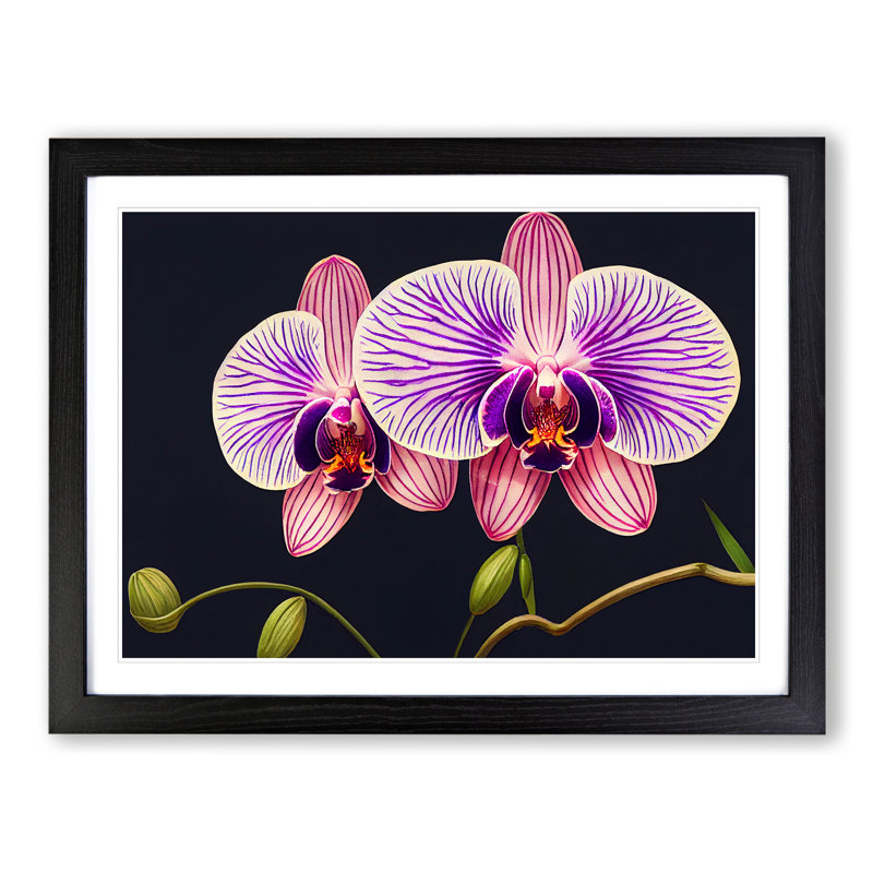 Gentle Orchid Flowers 1 Piece Single Picture Frame Wall Art, 25cm H x 34cm W x 2cm D, Black Framed