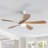 Damecia 5 - Blade Smart Standard Ceiling Fan with Remote Control and LED Light-1557132351-1604776218