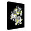 «White Iris» par Dosta, impression sur toile tendue-29223791