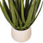 19,5 plante
