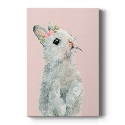 Lapin habillé - Cavas enveloppés de galerie