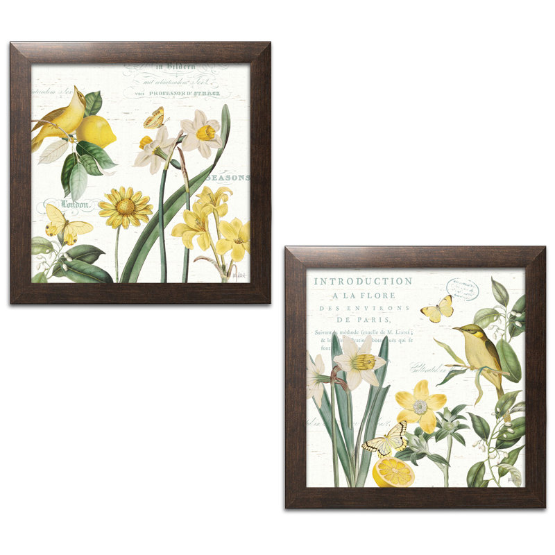 « citron curiosities ii & iii », ensemble de 2 reproductions d’art, Papier avec cadre brun, H 12 po x l 12 po x P 1,5 po