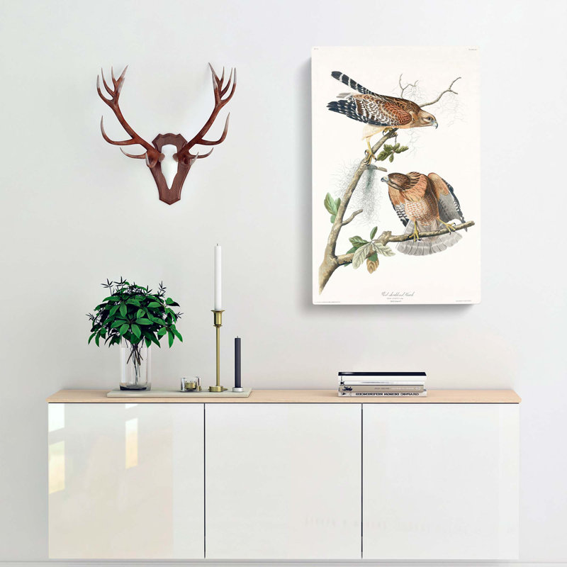 Red-shouldered Hawks by Albert Racinet - Wrapped Canvas Print, 50cm H x 35cm W x 3cm D