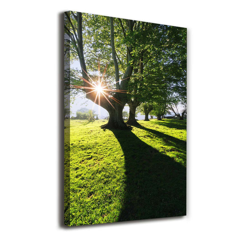 Park - Wrapped Canvas Print