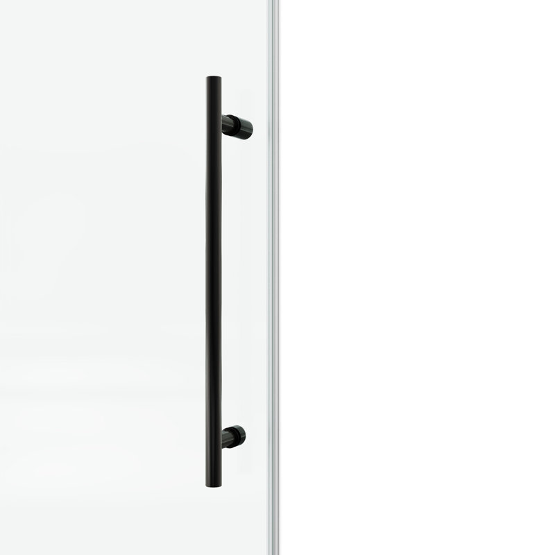 Porte de douche fixe et coulissante, Noir mat