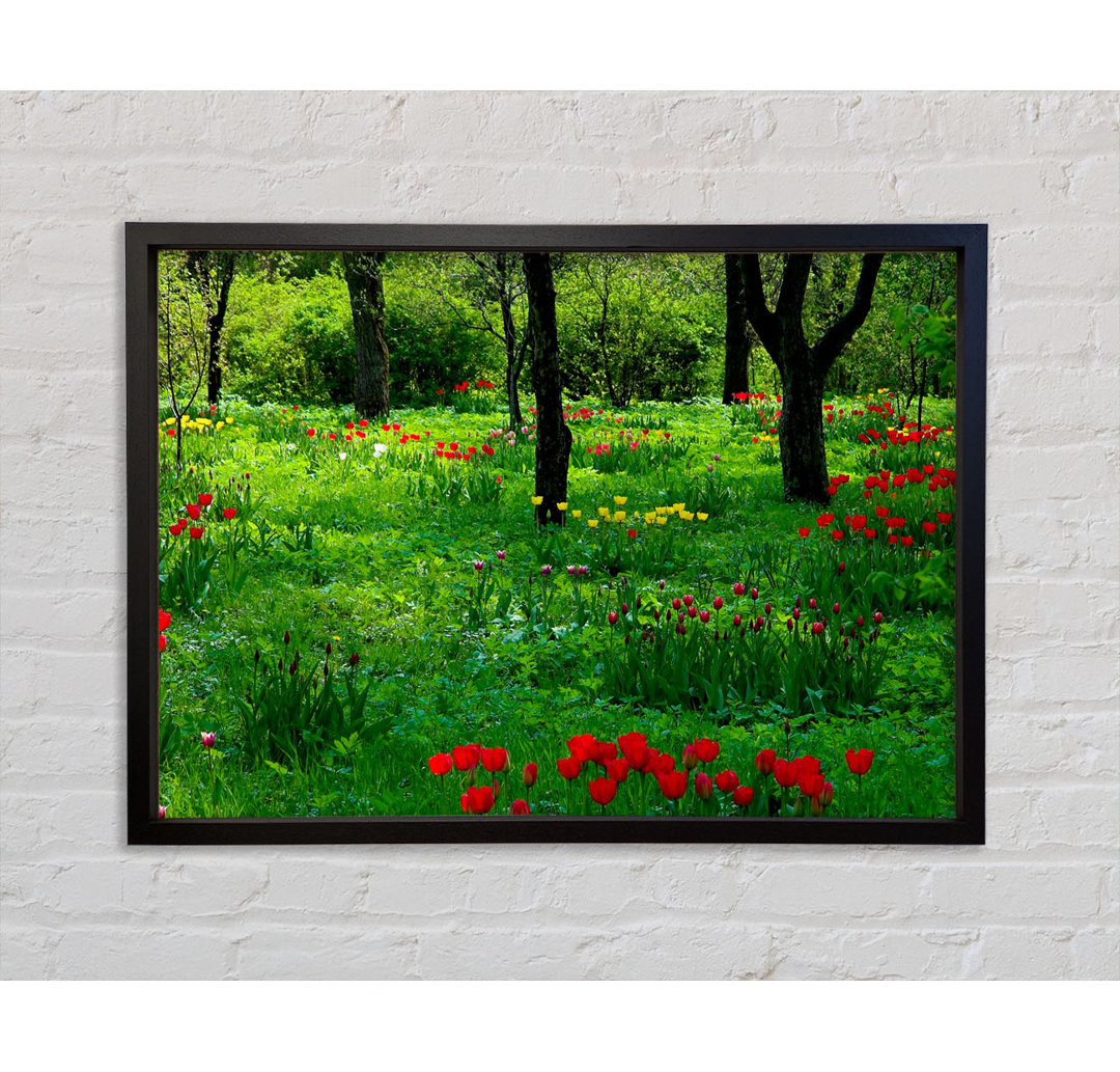 Tulip Woodland - Einzelner Bilderrahmen Kunstdrucke auf Leinwand