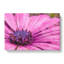 Purple Flower Vol.2 - Wrapped Canvas-64021101
