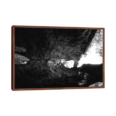 Inside a Redwood Tree 1 Piece Wall Art on Canvas
