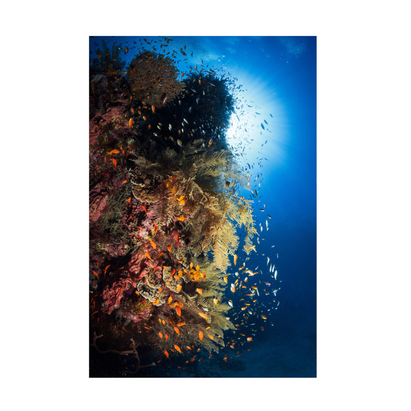 Art sur toile Barathieu Gabriel, H 12 po x l 19 po