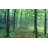 Landscape & Nature Non-Wall Damaging Window Decal-1067950516