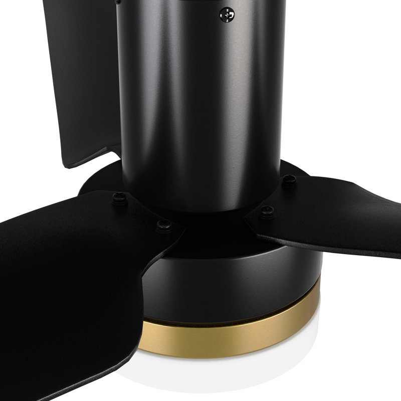 Ventilateur de plafond intelligent Boise avec télécommande, ensemble d'éclairage inclus, fonctionne avec l'assistant Google et Amazon Alexa, raccourci Siri.