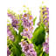 Cora RealTouch Muguet Arrangement-1495091161