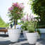 Pot Planter-95461389
