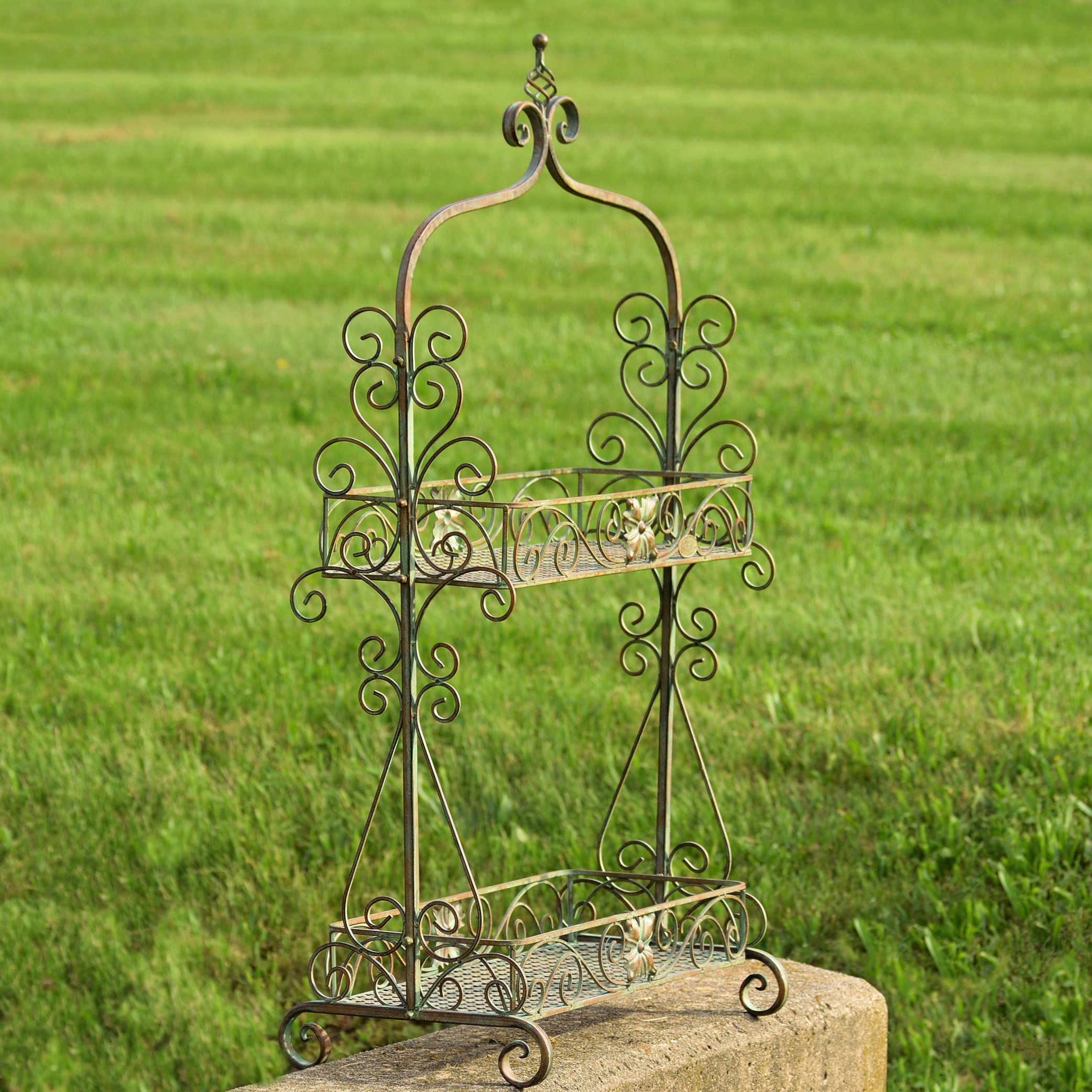 ZaerLtdInternational Metal Weather Resistant Plant Stand Wayfair ZaerLtdInternational Metal Weather Resistant Plant Stand Wayfair