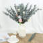 30 pièces de tiges d'eucalyptus, feuilles d'eucalyptus artificiels, fausses branches, tiges d'eucalyptus artificiels-806277914