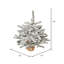 Flocked Anoka Pine 2' Artificial Christmas Tree