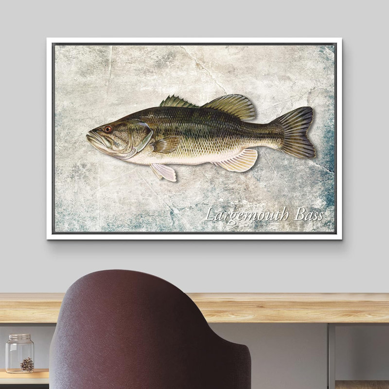 Fish " Largemouth Bass Fish On Granite Background Marine Life ", 16'' H x 24'' W, White Framed