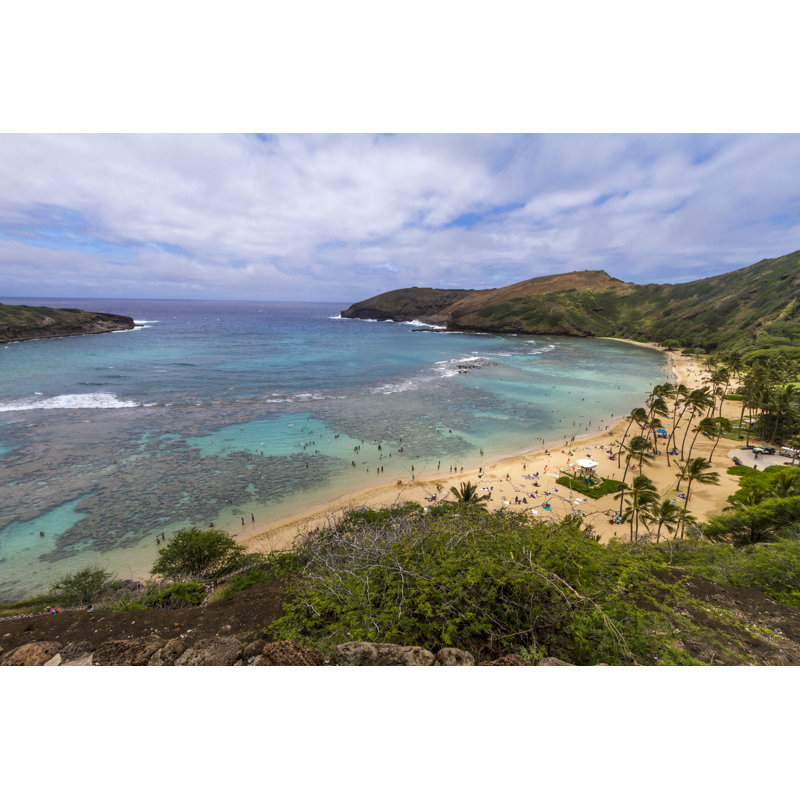 Hanauma Bay par Spondylolithe, H 8 po x l 12 po