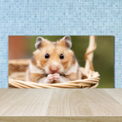 50cm W x 100cm L Glass Peel and Stick Panel