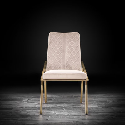 Ingleside Velvet Side Chair by Everly Quinn