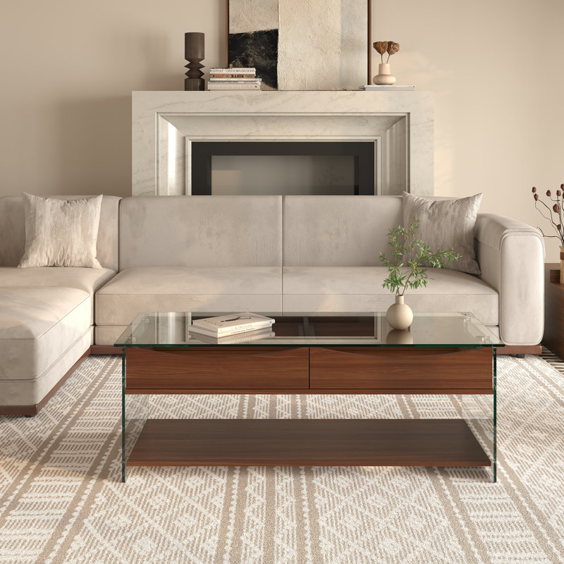 43-inch Tempered Glass Coffee Table with 2 Smooth-Glide Storage Drawers
