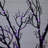 6ft. Pre-Lit Halloween Minimalist Twig Artificial Fall Tree with 320 Orange and Purple LED Lights