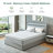 Ajinkya 10 Inch Pocket Innerspring Hybrid Mattress in a Box-238309815
