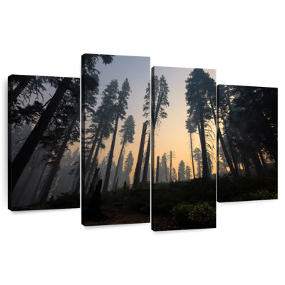 Harnek Redwoods Forest Fire