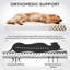 Lit orthopédique pour chien Modern