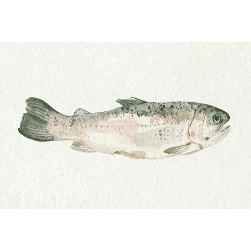 Fresh Catch I 1 Piece Wrapped Canvas Painting, 20cm H x 30cm W