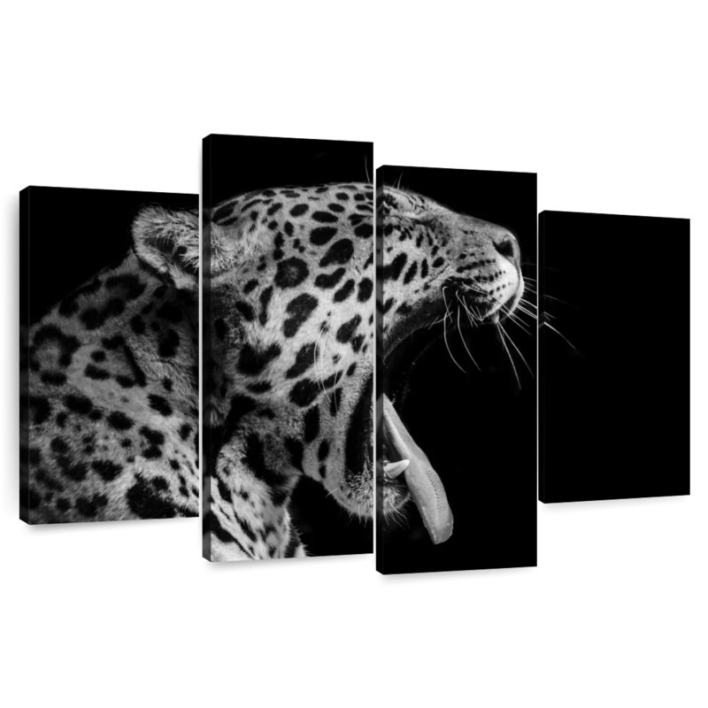 Brampt Jaguar Yawn, 22" H x 36" W