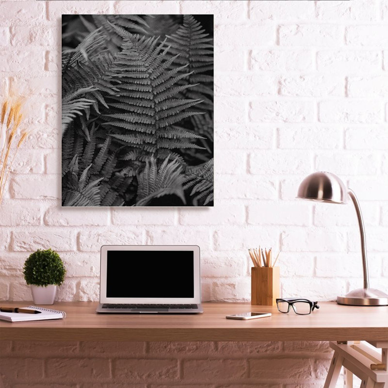 Fougères dans la forêt en noir et blanc - reproduction de photo, H 48 po x l 36 po x 1,5 po, Toile tendue