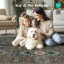 Tapis d'intérieur lavable Persian Performance-910469735