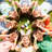 Easter Day Decorations, 90pcs Easter Party Decorations Set