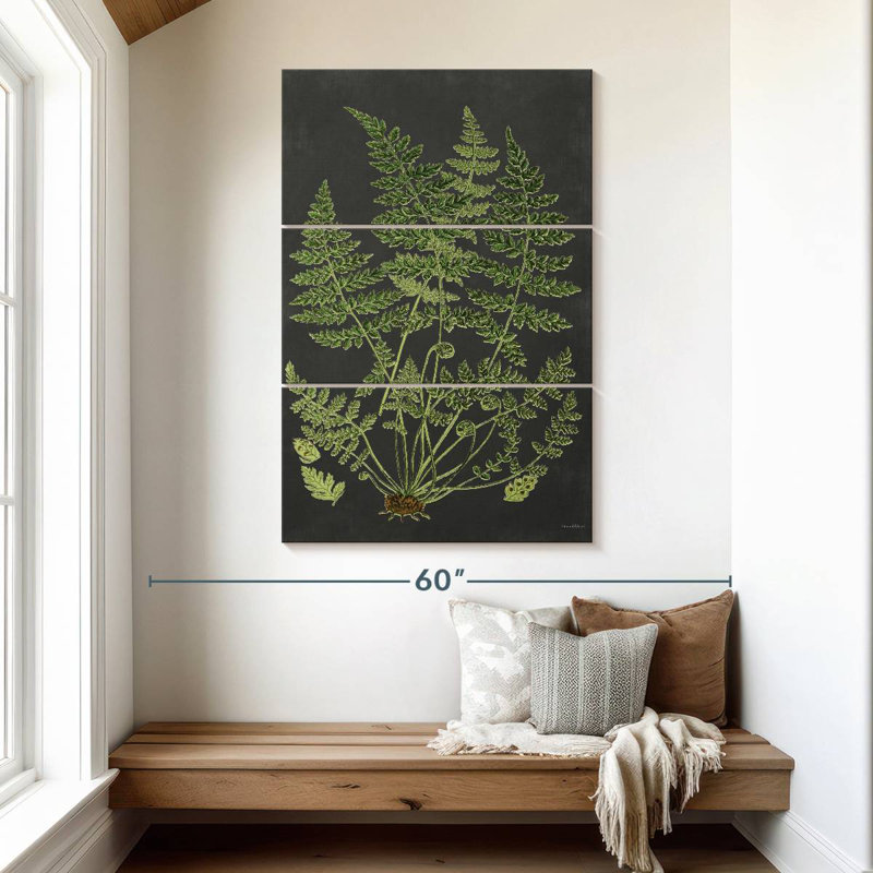 Harnek Fern Study, H 50 po x l 32 po