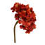 Fausse tige d'hortensia-40159557