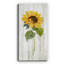 Tournesol en automne I - peinture sur toile tendue-1215616833