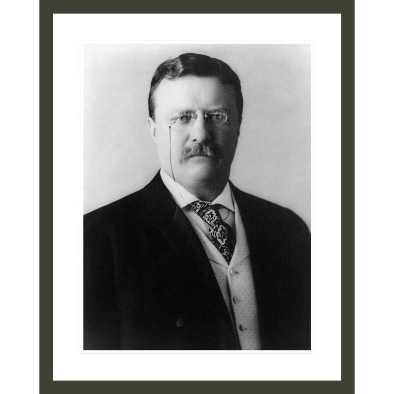 «Theodore Roosevelt» par Pach Brothers, impression giclée sur cadre, H 29,39 po x l 23,5 po