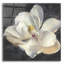 «Vivid Floral 4 C» par Danhui Nai, art mural en verre acrylique