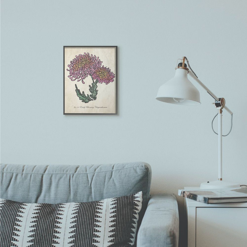 «Botanical Chrysanthemum Flower Pink Yellow», impression, H 11 po x l 14 po x P 1,5 po, Giclée encadrée noir minuit