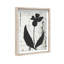 Single Orchid Print by Oliver Gal-330092982-475666957