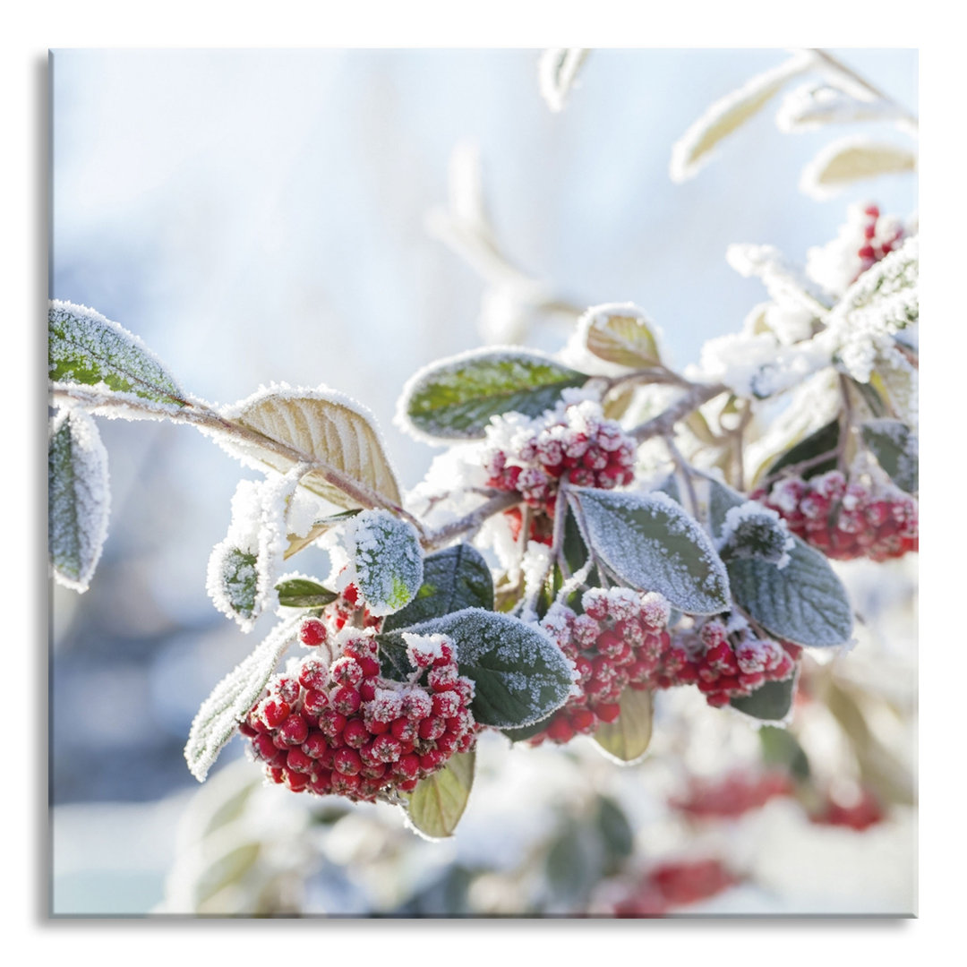 Glasbild Vogelbeeren im Winter