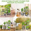 Plant Stand - Set of 8
