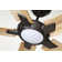 Indy 72'' Ceiling Fan with LED Lights