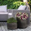 Fibreglass Plant Pot-1382639510-1382639502