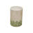 Modern Shell
 End Table