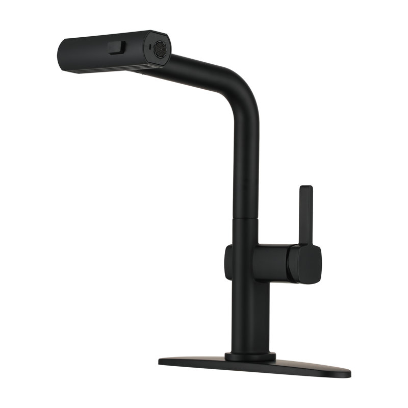 CASAINC Single Handle Pull Out Kitchen Faucet with Three-function Mode Sprayer, Matte Black
