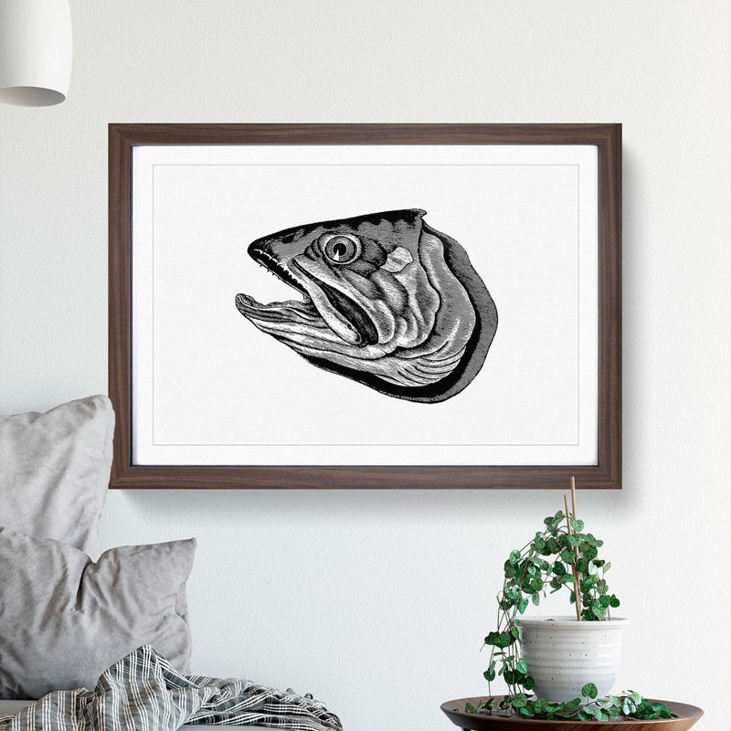 Fish Head Illustration in Black & White - Framed Print, 36cm H x 48cm W x 2cm D, Walnut Framed