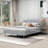 Jaiel Upholstered Platform Bed-1768334800-1876895658